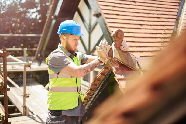 Best New Roof Installation  in Forest City, PA